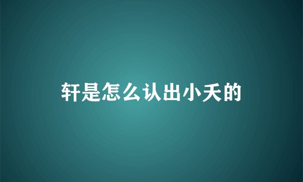 轩是怎么认出小夭的