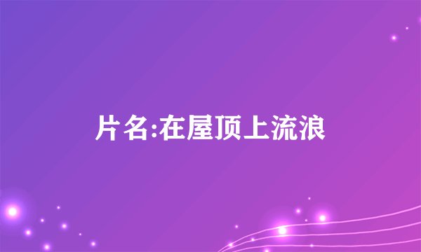 片名:在屋顶上流浪