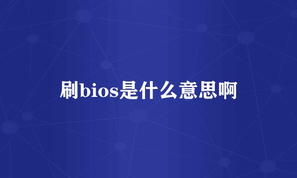 刷bios是什么意思啊