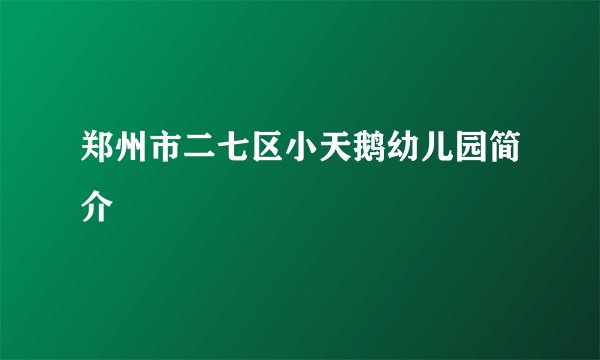 郑州市二七区小天鹅幼儿园简介