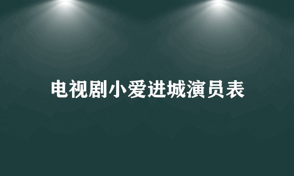 电视剧小爱进城演员表