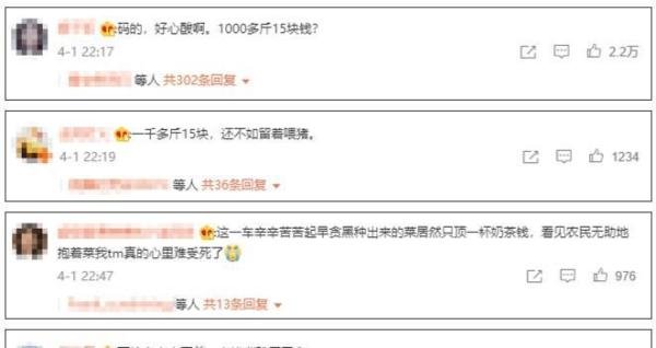 关注丨1300斤菠菜只卖了15元!