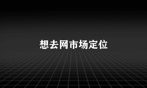 想去网市场定位