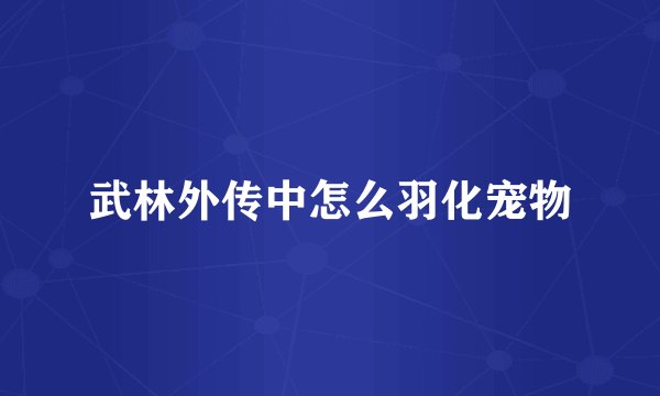 武林外传中怎么羽化宠物