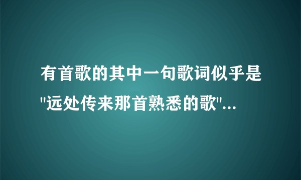 有首歌的其中一句歌词似乎是