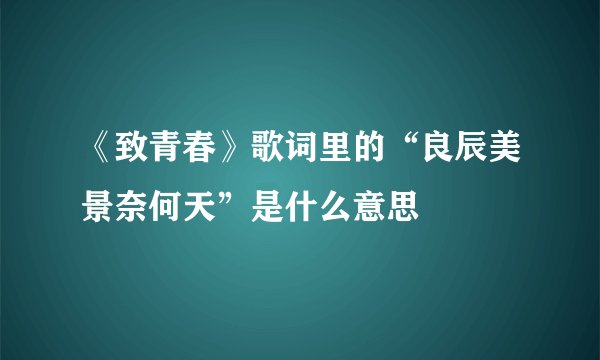 《致青春》歌词里的“良辰美景奈何天”是什么意思