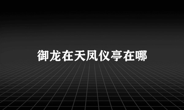 御龙在天凤仪亭在哪