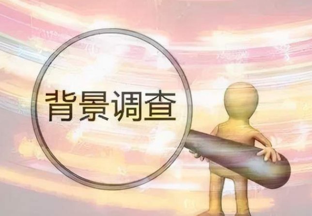调查背景是什么意思