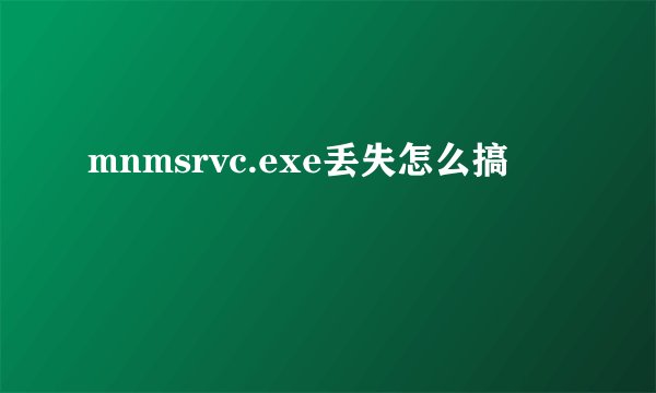 mnmsrvc.exe丢失怎么搞
