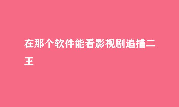 在那个软件能看影视剧追捕二王