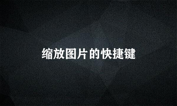 缩放图片的快捷键