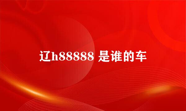 辽h88888 是谁的车