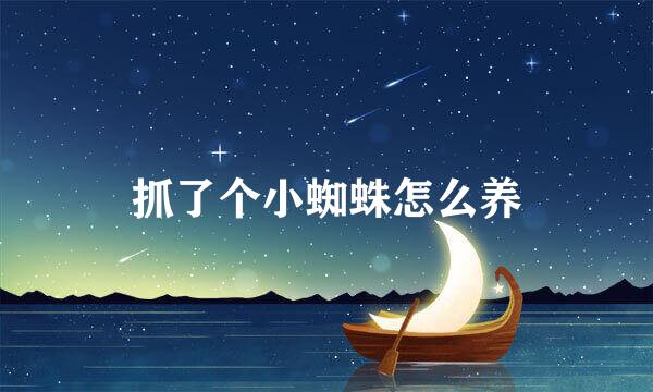 抓了个小蜘蛛怎么养