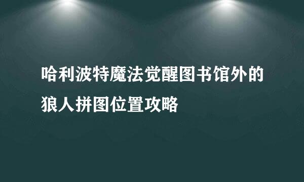哈利波特魔法觉醒图书馆外的狼人拼图位置攻略