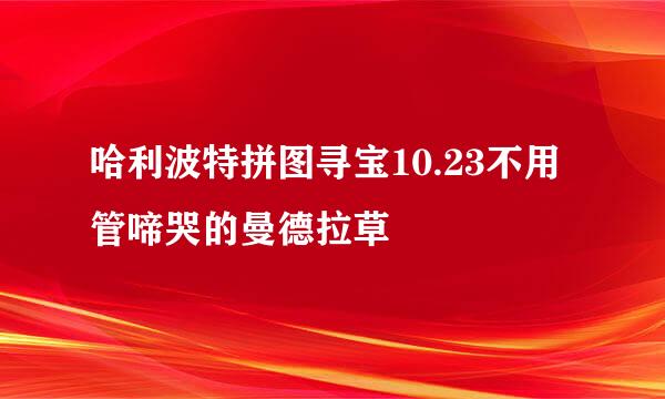哈利波特拼图寻宝10.23不用管啼哭的曼德拉草