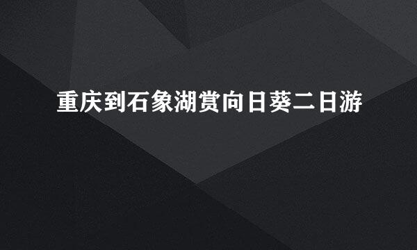 重庆到石象湖赏向日葵二日游