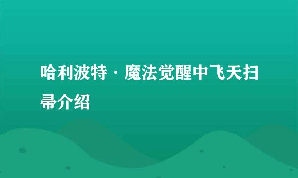 哈利波特·魔法觉醒中飞天扫帚介绍