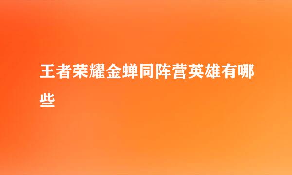 王者荣耀金蝉同阵营英雄有哪些