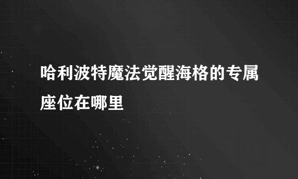哈利波特魔法觉醒海格的专属座位在哪里