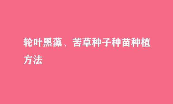 轮叶黑藻、苦草种子种苗种植方法