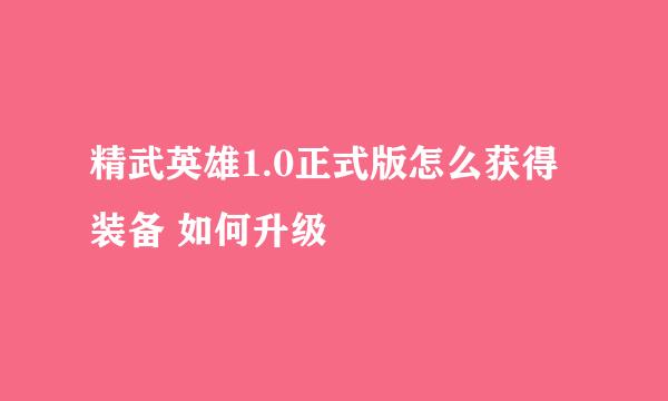 精武英雄1.0正式版怎么获得装备 如何升级