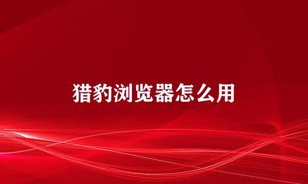 猎豹浏览器怎么用