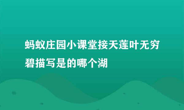 蚂蚁庄园小课堂接天莲叶无穷碧描写是的哪个湖