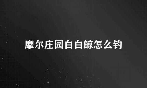 摩尔庄园白白鲸怎么钓