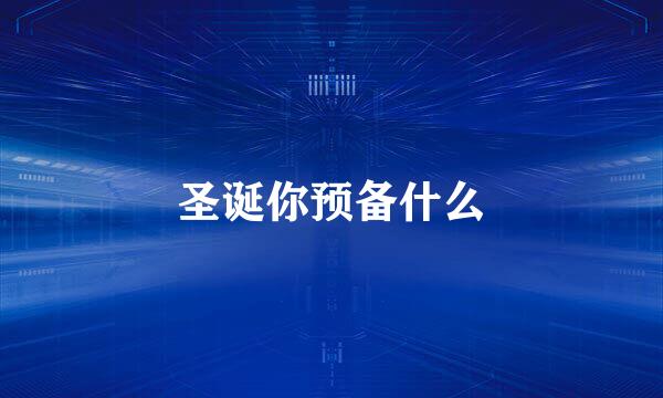 圣诞你预备什么