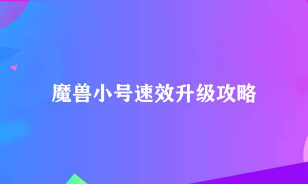 魔兽小号速效升级攻略