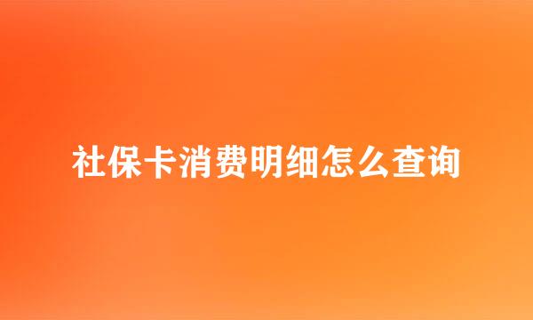 社保卡消费明细怎么查询