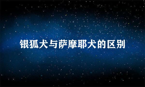 银狐犬与萨摩耶犬的区别