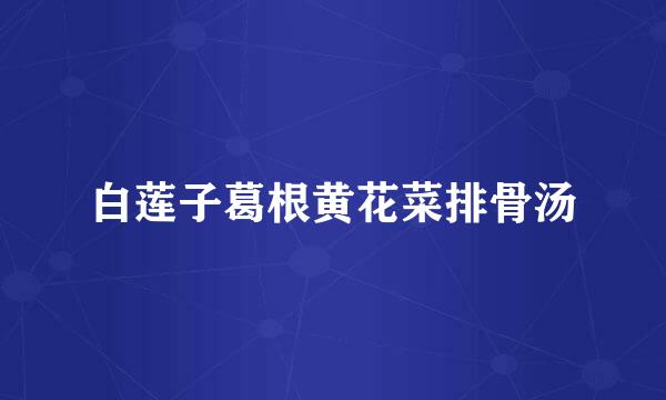 白莲子葛根黄花菜排骨汤