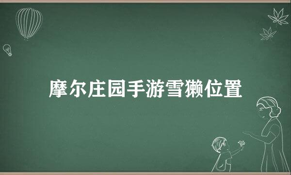 摩尔庄园手游雪獭位置