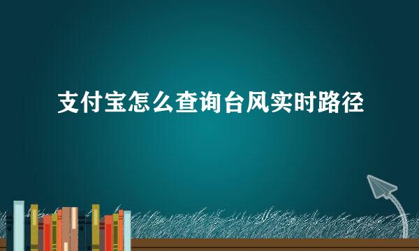支付宝怎么查询台风实时路径