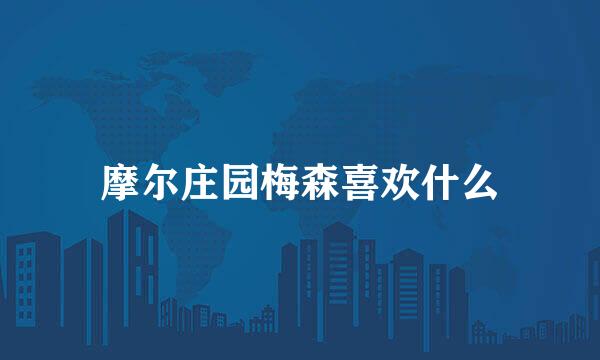 摩尔庄园梅森喜欢什么