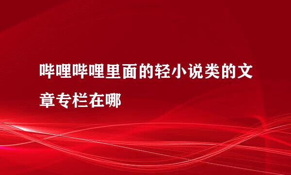 哔哩哔哩里面的轻小说类的文章专栏在哪