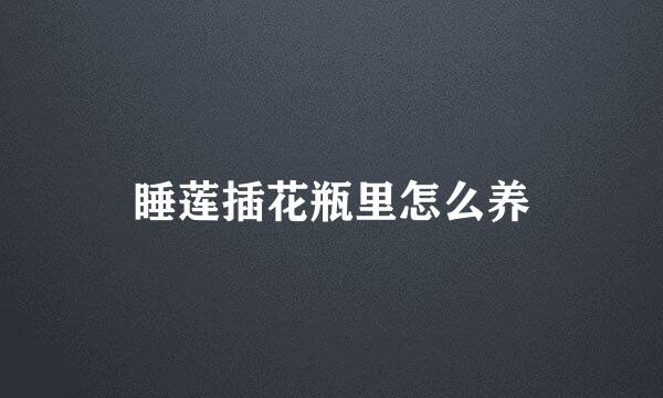 睡莲插花瓶里怎么养
