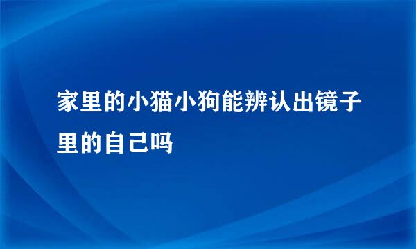 家里的小猫小狗能辨认出镜子里的自己吗
