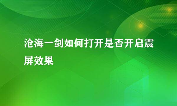 沧海一剑如何打开是否开启震屏效果