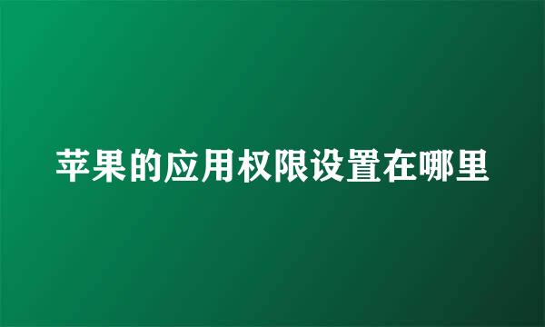 苹果的应用权限设置在哪里