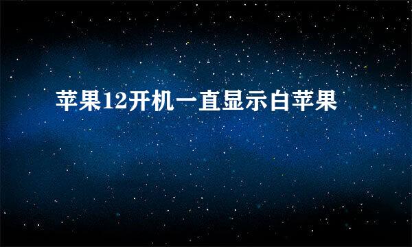 苹果12开机一直显示白苹果