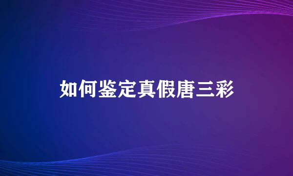 如何鉴定真假唐三彩