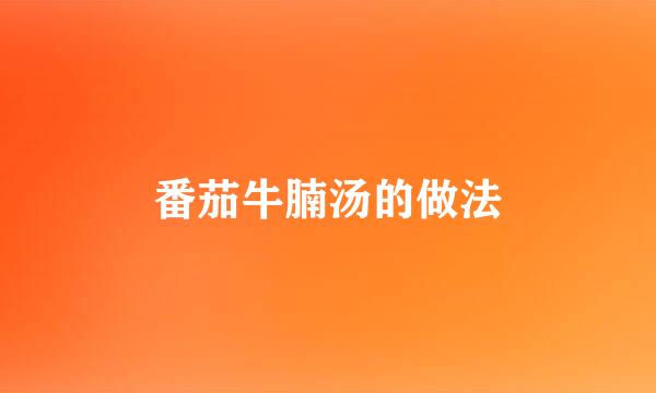 番茄牛腩汤的做法