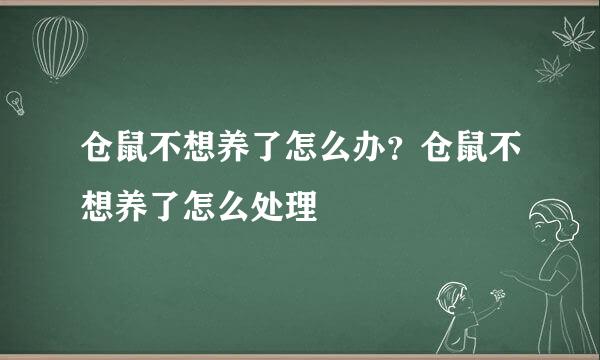 仓鼠不想养了怎么办?仓鼠不想养了怎么处理