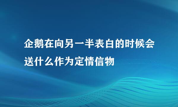 企鹅在向另一半表白的时候会送什么作为定情信物