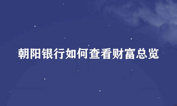 朝阳银行如何查看财富总览