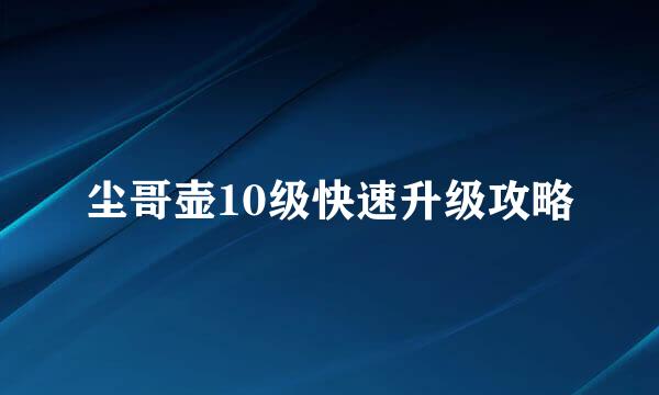 尘哥壶10级快速升级攻略