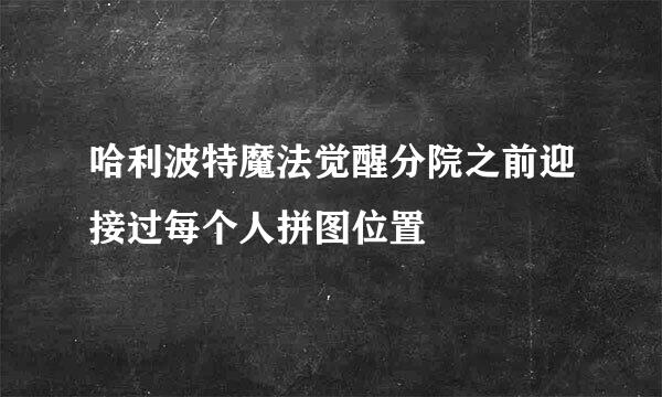 哈利波特魔法觉醒分院之前迎接过每个人拼图位置