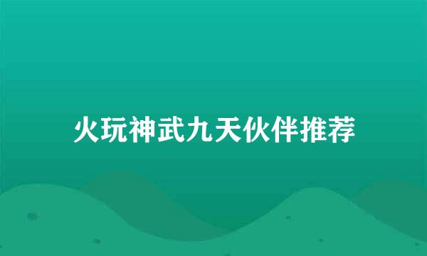 火玩神武九天伙伴推荐